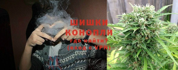 дурь Богданович