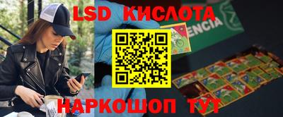 PSILOCYBIN Донской