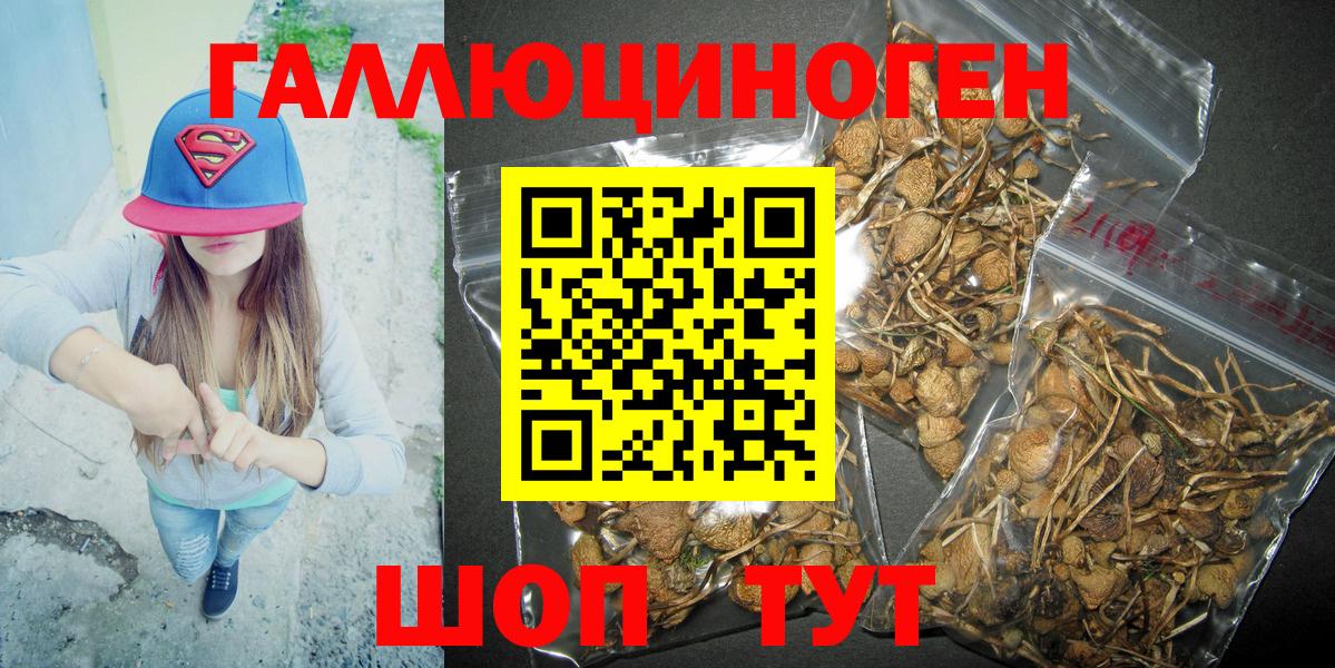 Галлюциногенные грибы Magic Shrooms  Вход с VPN  Междуреченск 